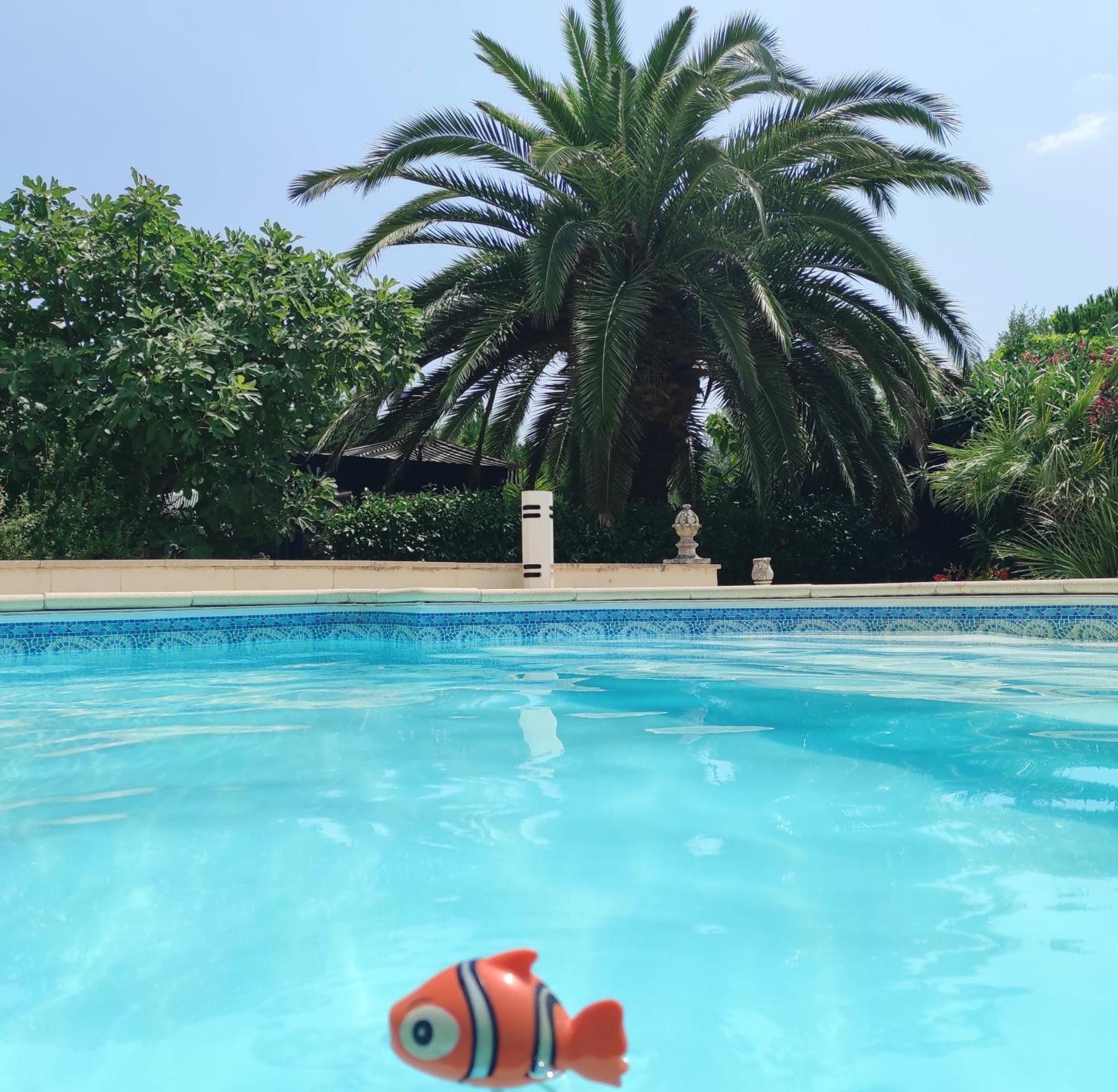 Villa Angel - Spa Caunes-Minervois Ngoại thất bức ảnh