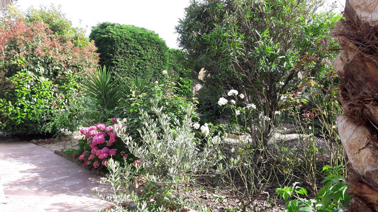 Villa Angel - Spa Caunes-Minervois Ngoại thất bức ảnh