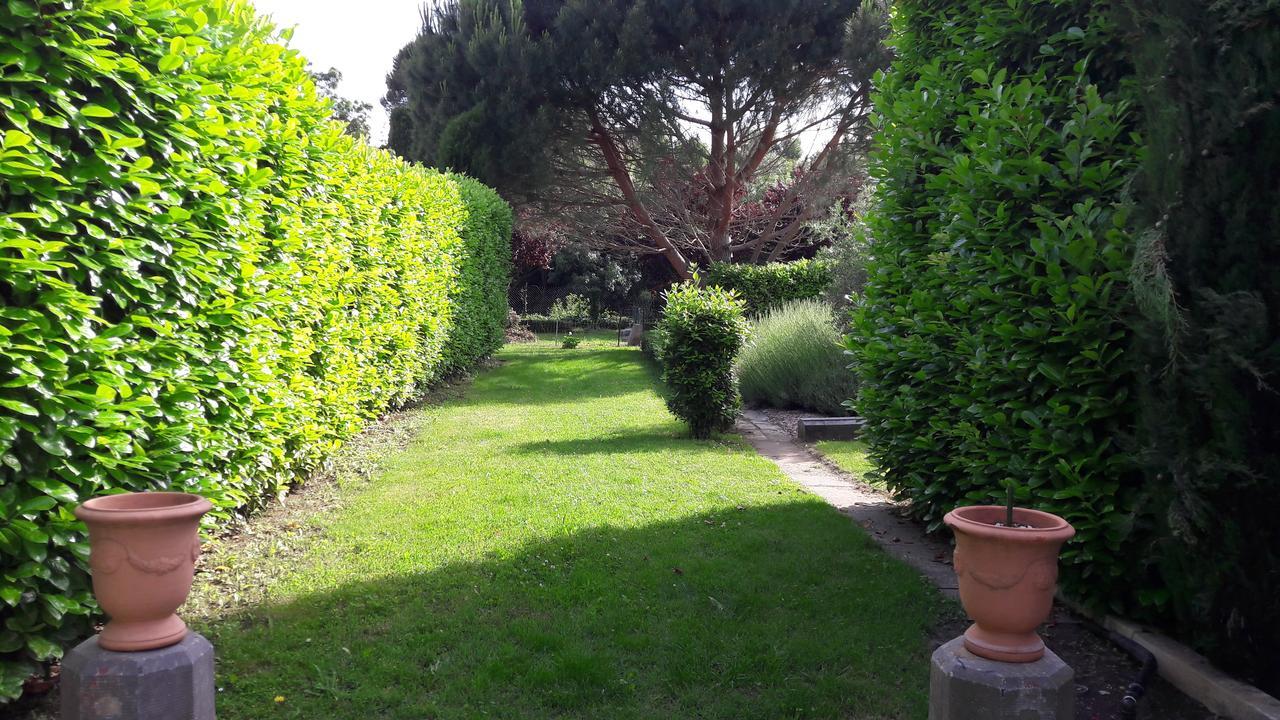 Villa Angel - Spa Caunes-Minervois Ngoại thất bức ảnh